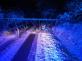 2811_nehody_stromy (10)