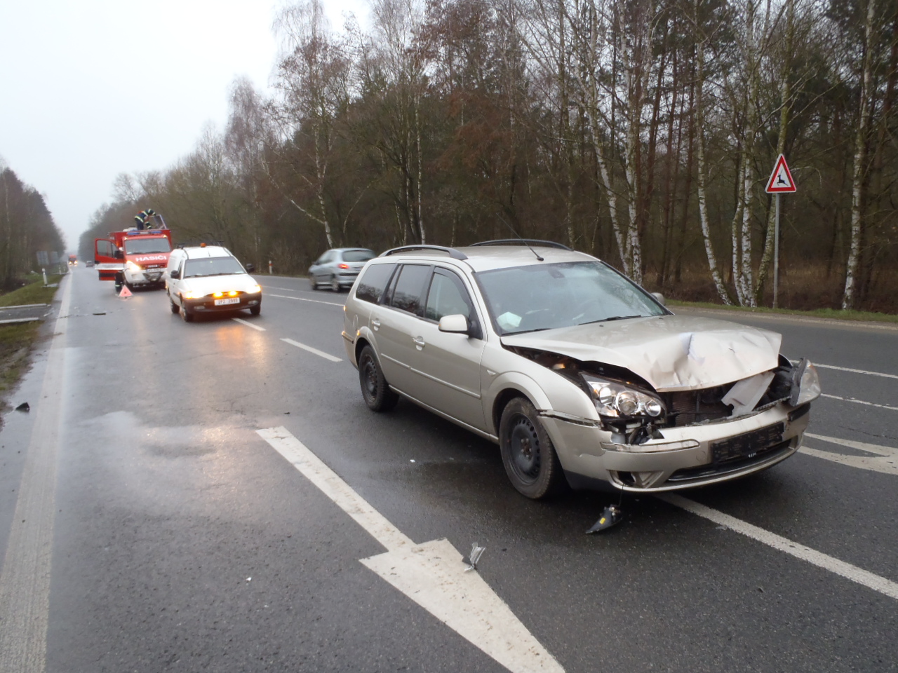 29.2.2016 DN Dobřany.JPG