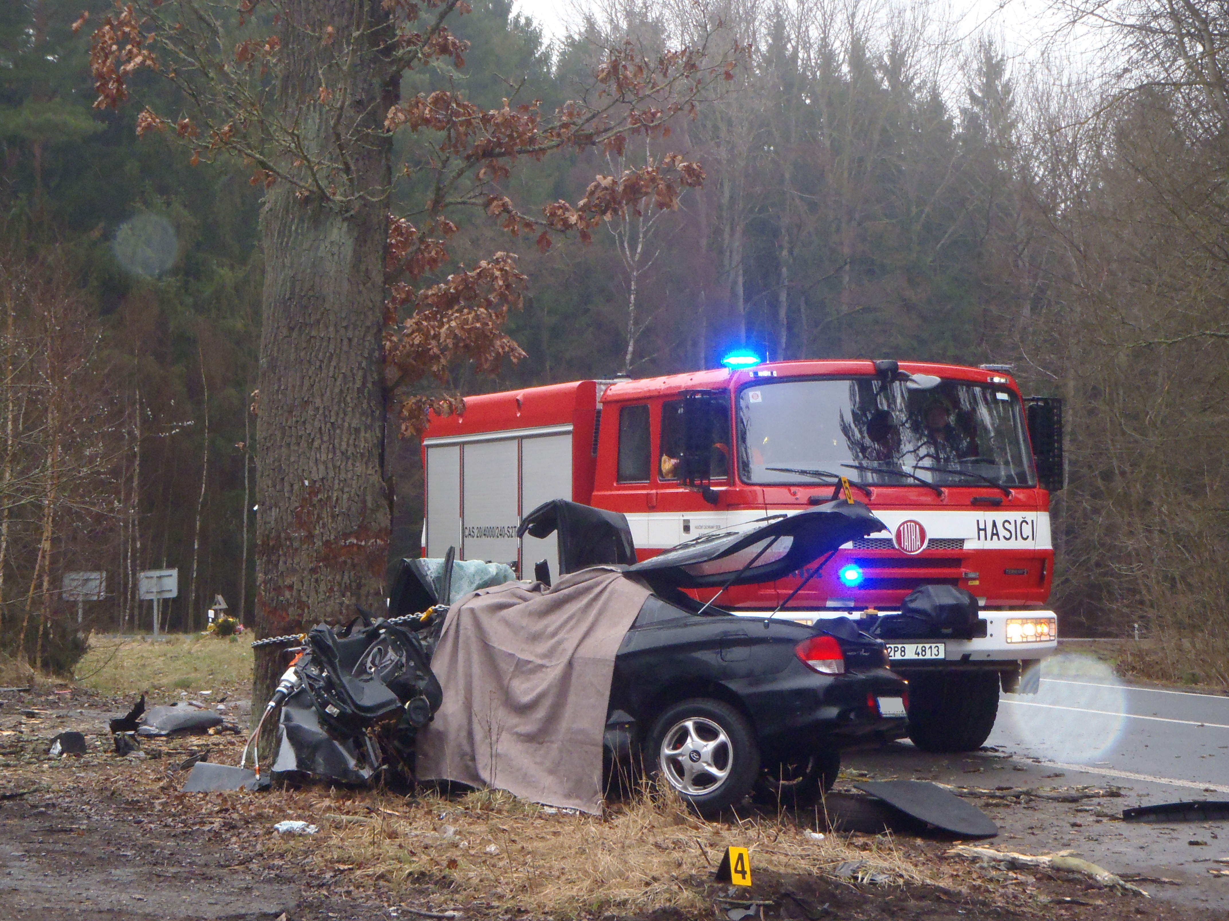 29.3.2015 DN Holostřevy.JPG