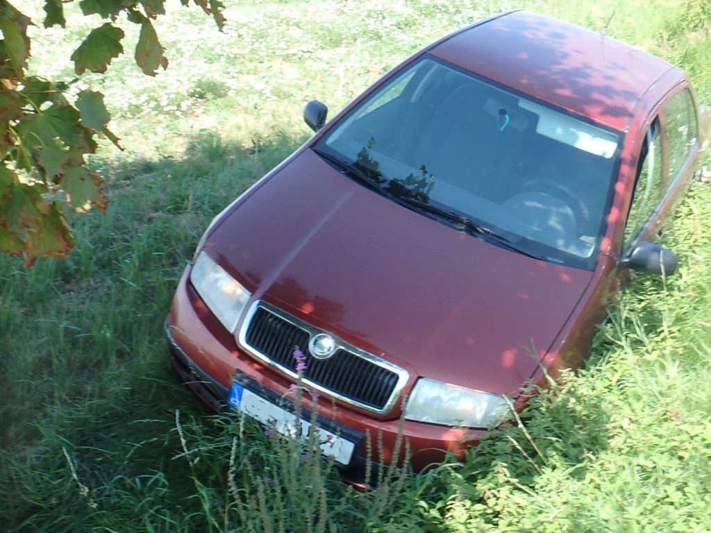 29.8.2017 (PJ 13.15) DN Horní Lukavice.JPG