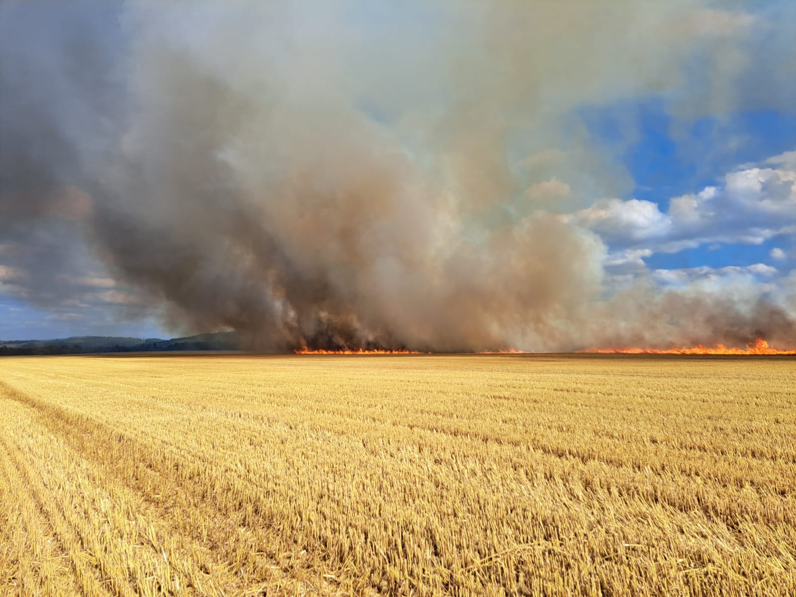 2_7_2023 požár pole Dobřany (8).jpeg
