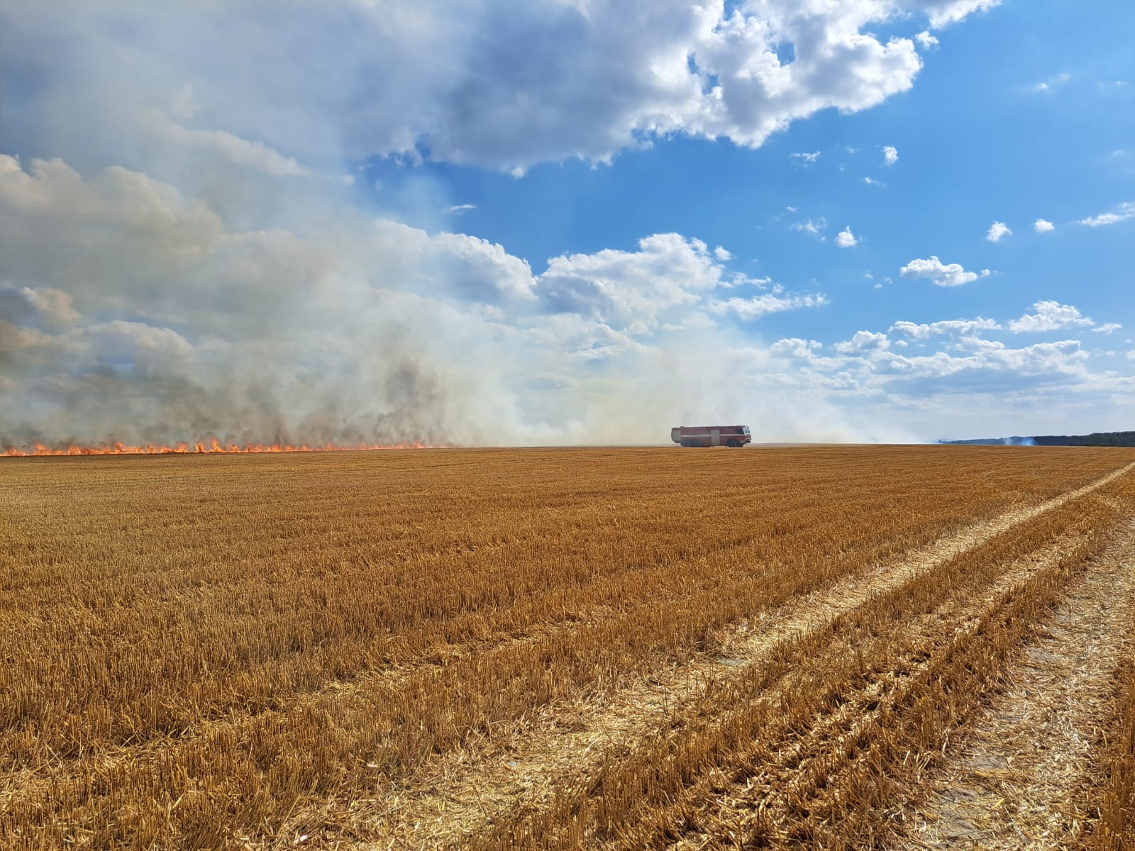 2_7_2023 požár pole Dobřany (9).jpeg