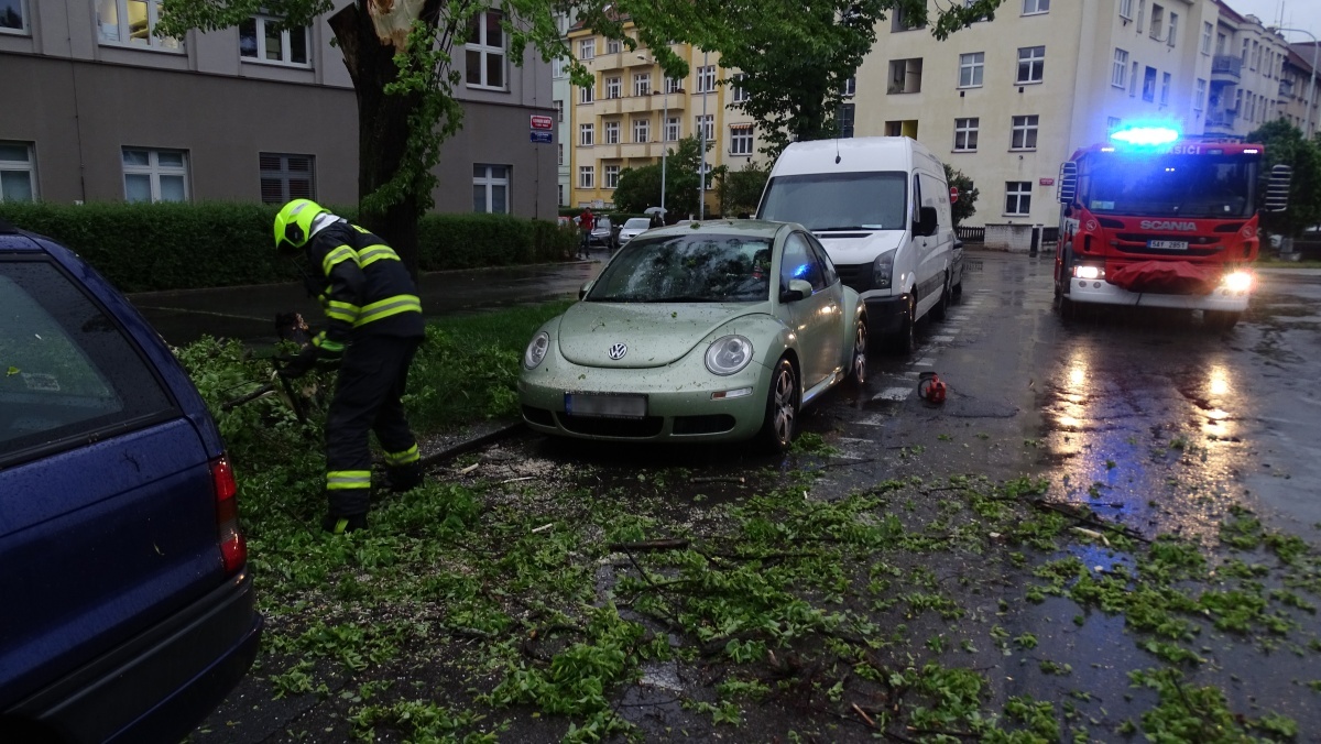 3 Polámaný strom ve vozovce
