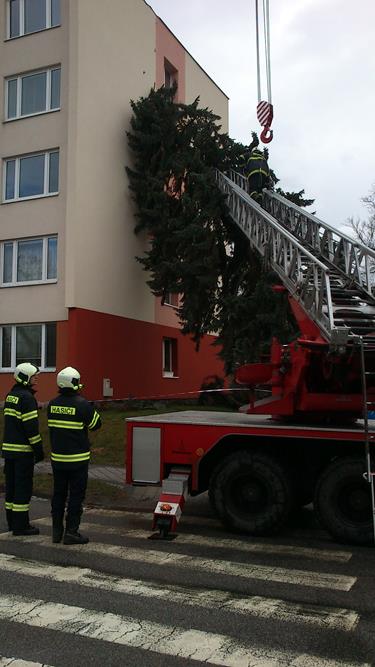 3 Spadlý strom na panelák, Bechyně - 31. 3. 2015 (4).jpg