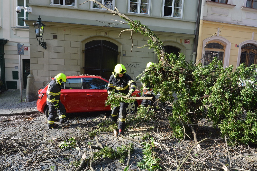 3 Spadlý strom přes cestu