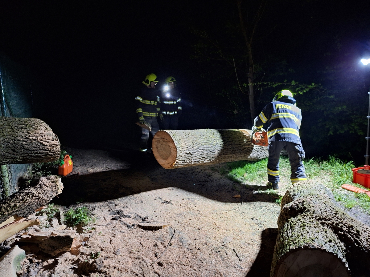 3 Spadlý strom přes cestu