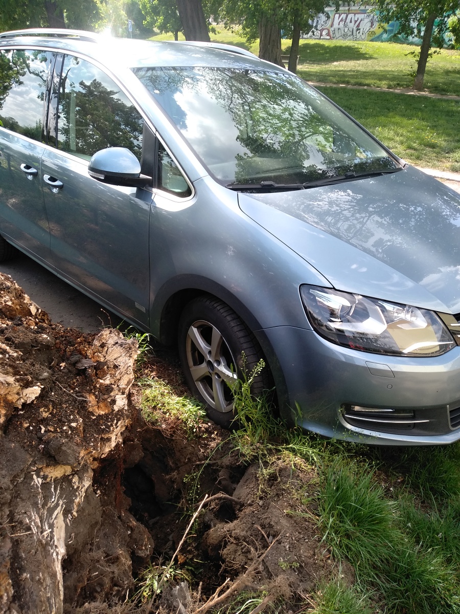 3 Strom přes cestu