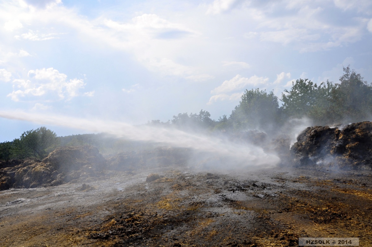 3 pozar_pole_losov_3-8-2014 (11).jpg