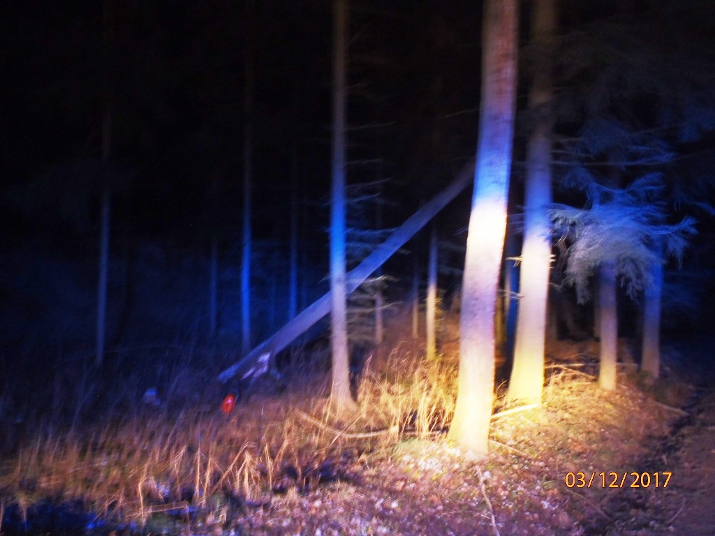 3.12.2017 (PS 17.17) Březí - vyvrácený strom.JPG