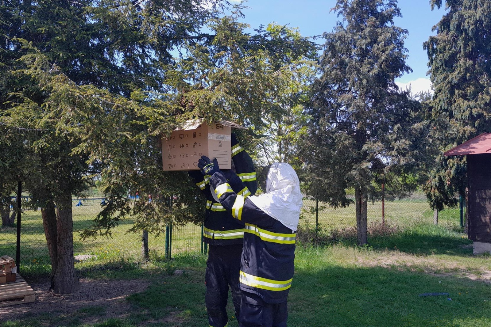 300425-Likvidace včelího roje na školním hřišti v obci Dřísy v okrese Praha-východ.jpg