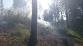 4 P_LP_6-8-2015_požár_lesa_vojtíškov (4)