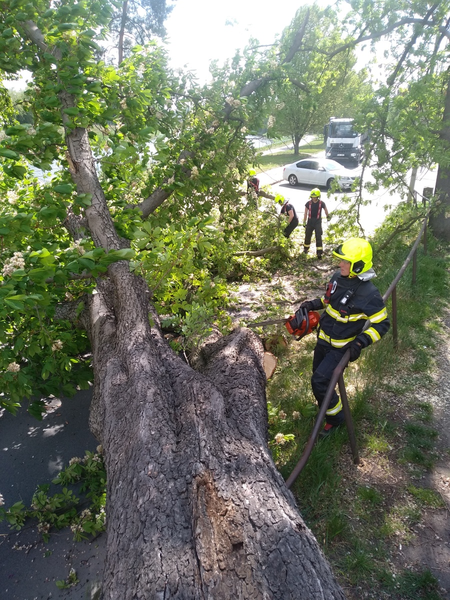4 Strom přes cestu