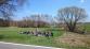 5 Dopravní nehoda autobusu, Dolní Žďár - 20. 4. 2015 (9)