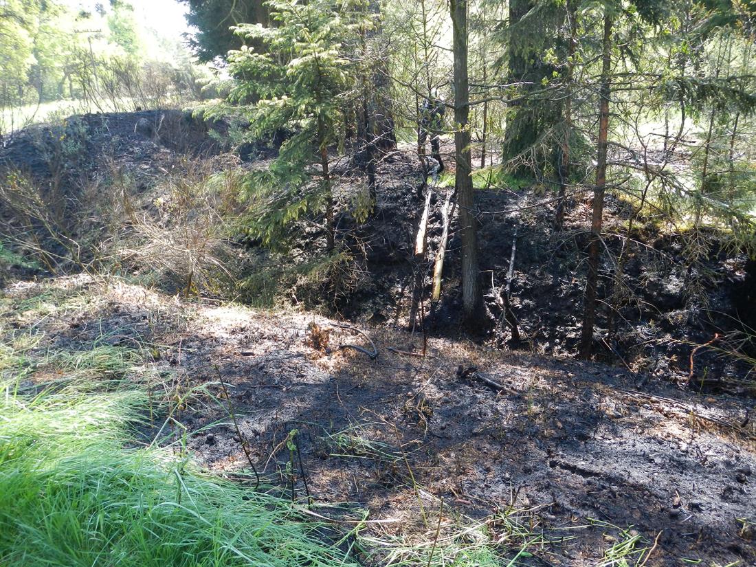 5 Požár lesa, České Velenice - 18. 5. 2015 (5).JPG