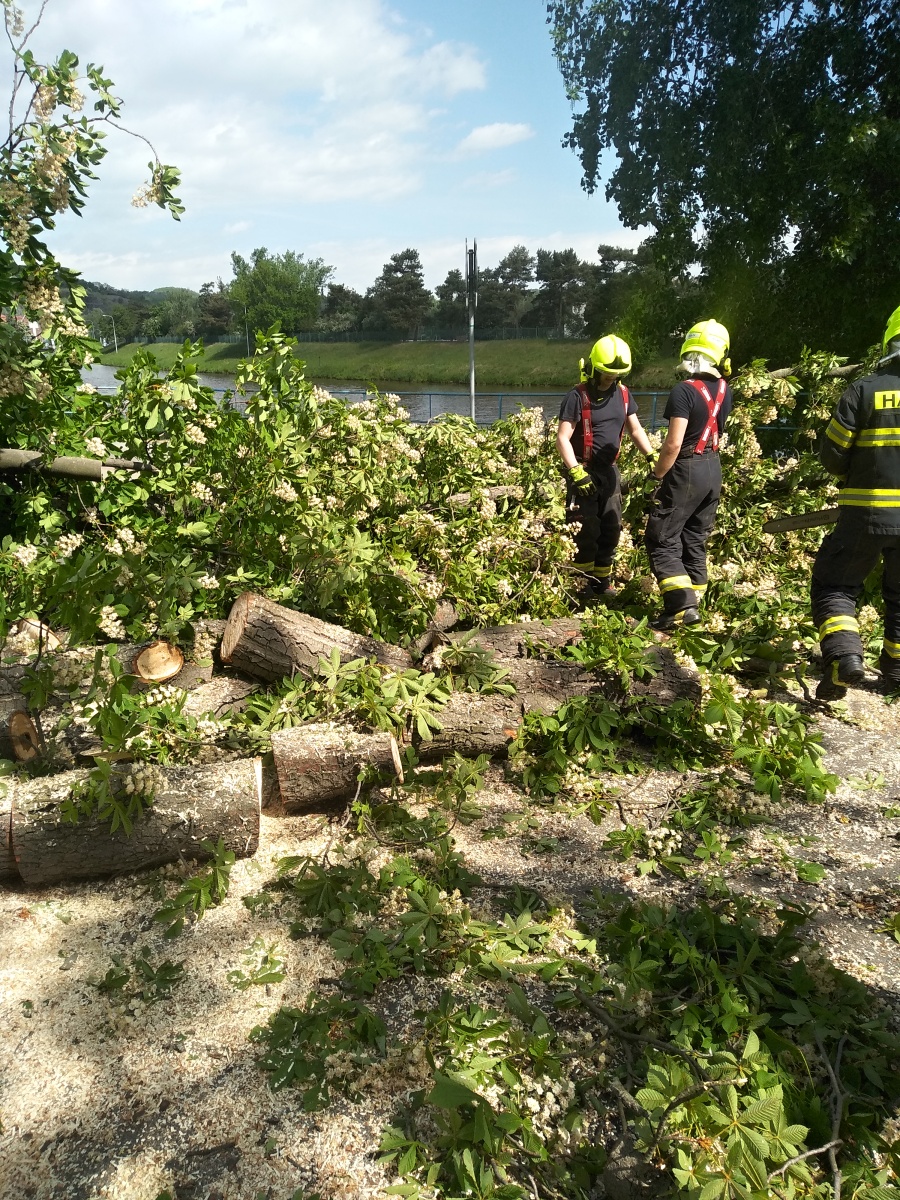 5 Strom přes cestu
