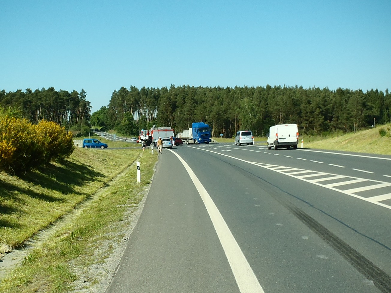 5.6.2015 DN Třemošná.JPG