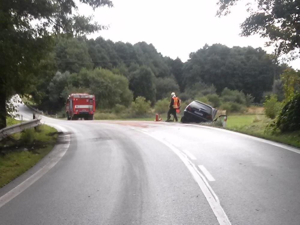 5.9.2016 (PJ 10.50) DN Kasejovice.jpg