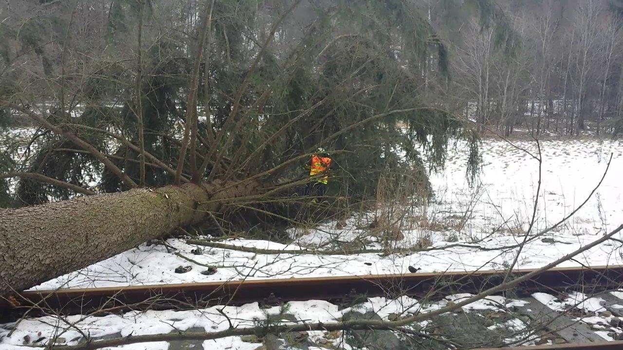6 11-1-2015 Vítr - odstraňování spadených stromů (6).jpg