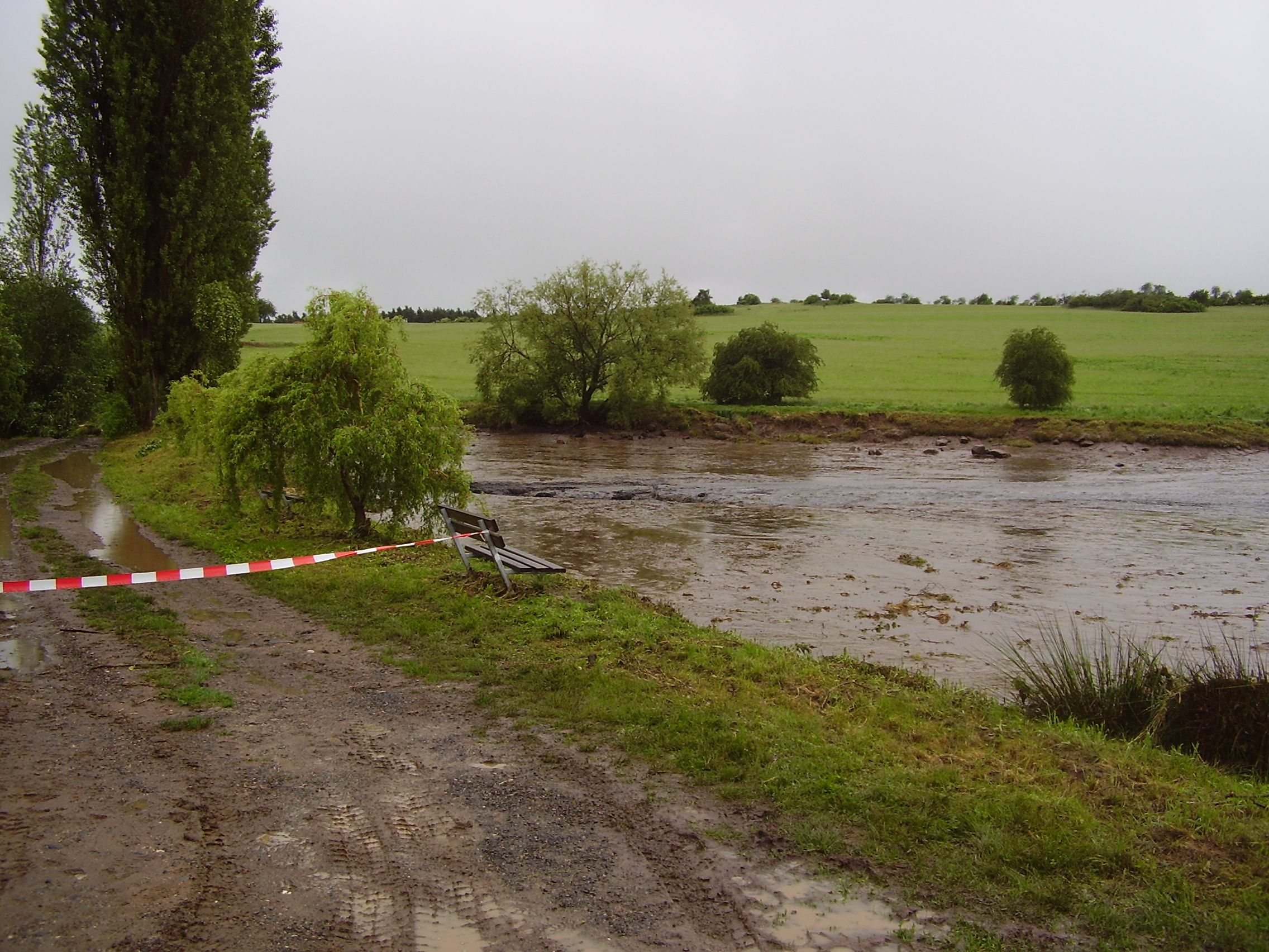 8 P5280036.JPG