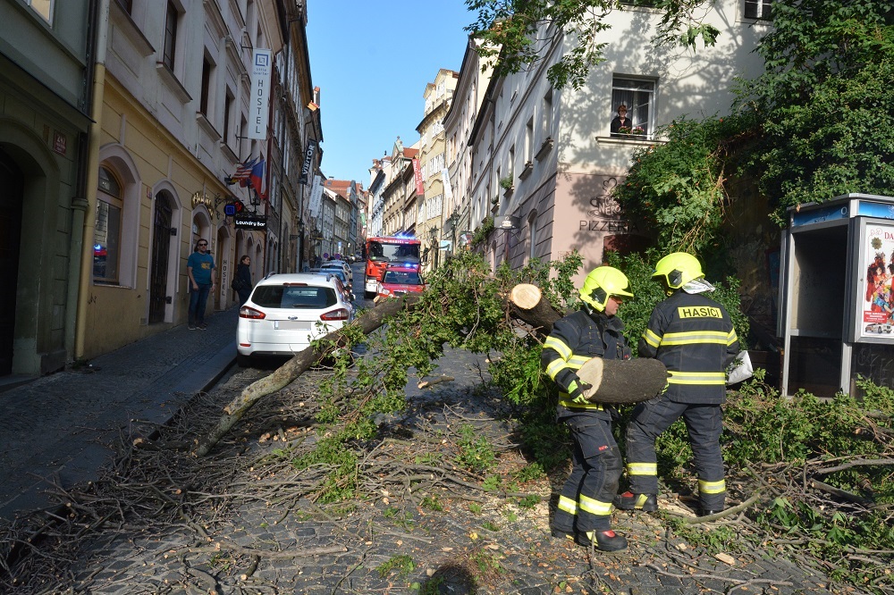 8 Spadlý strom přes cestu