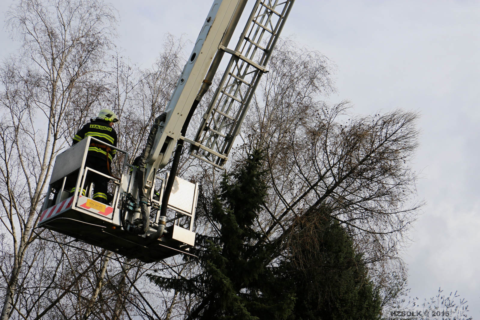 8 TP_Olomouc_Jilova_1-4-2015 odstranění stromu Olomouc (16).JPG