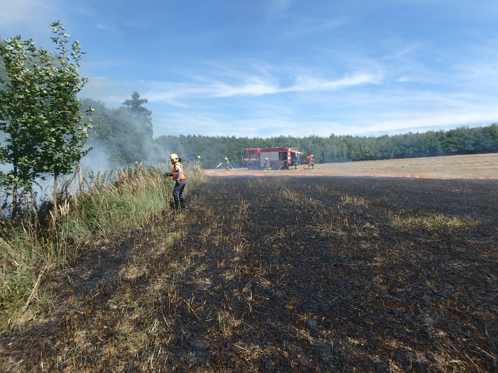 8.8.2017 (RO 12.33) požár pole a lesa - Břasy (3).JPG