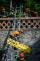 8_TC IZS Lysice_XT3B1862