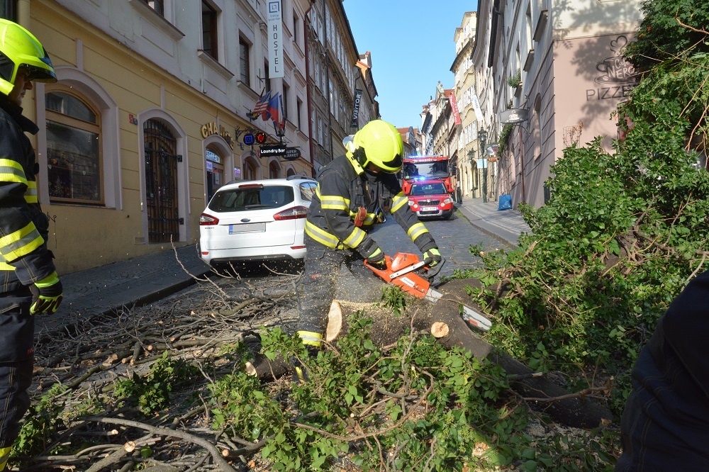 9 Spadlý strom přes cestu