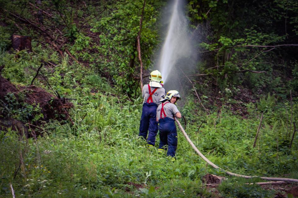 CV_forest fire