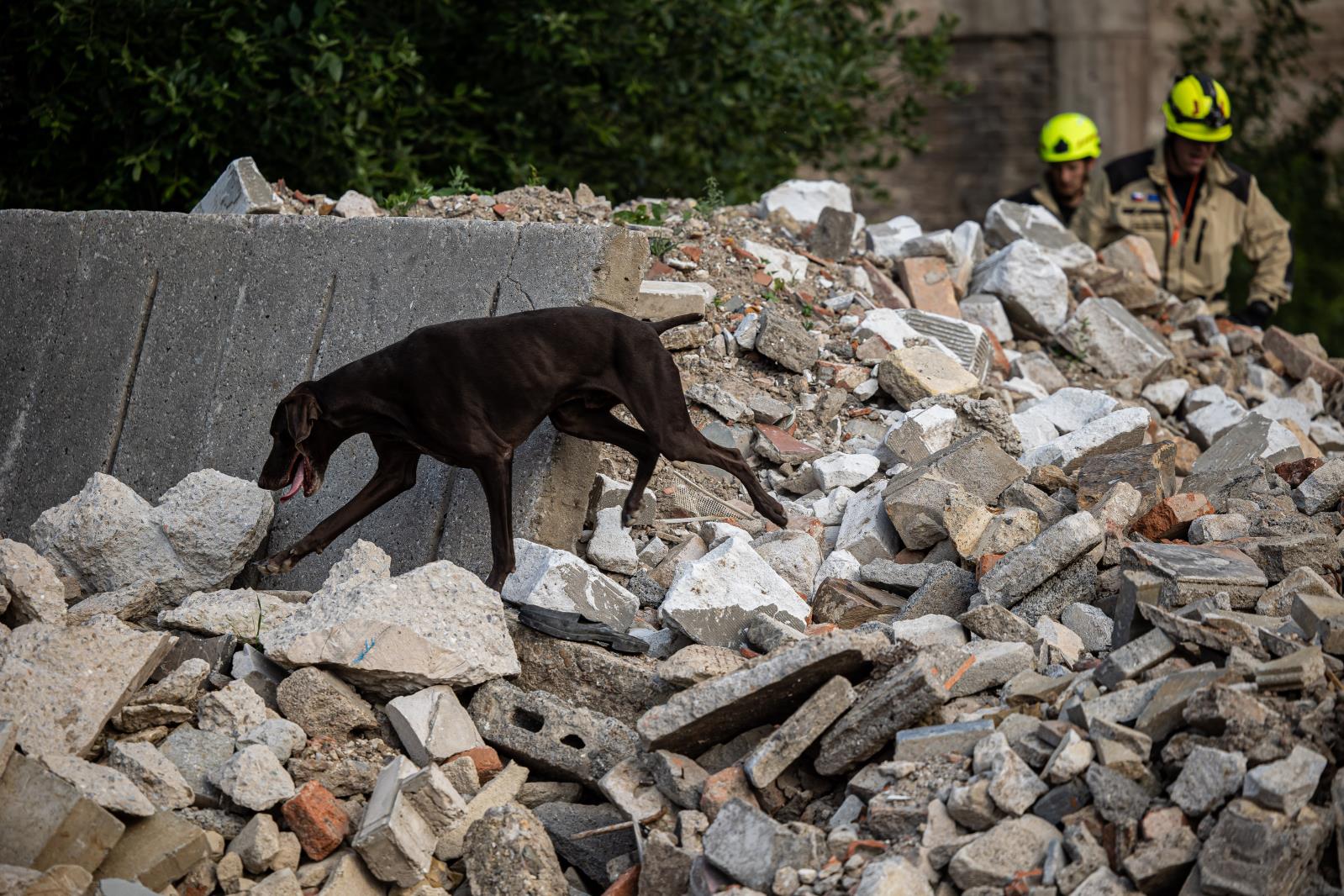 Český USAR tým obhajuje status HEAVY CLASSIFIED