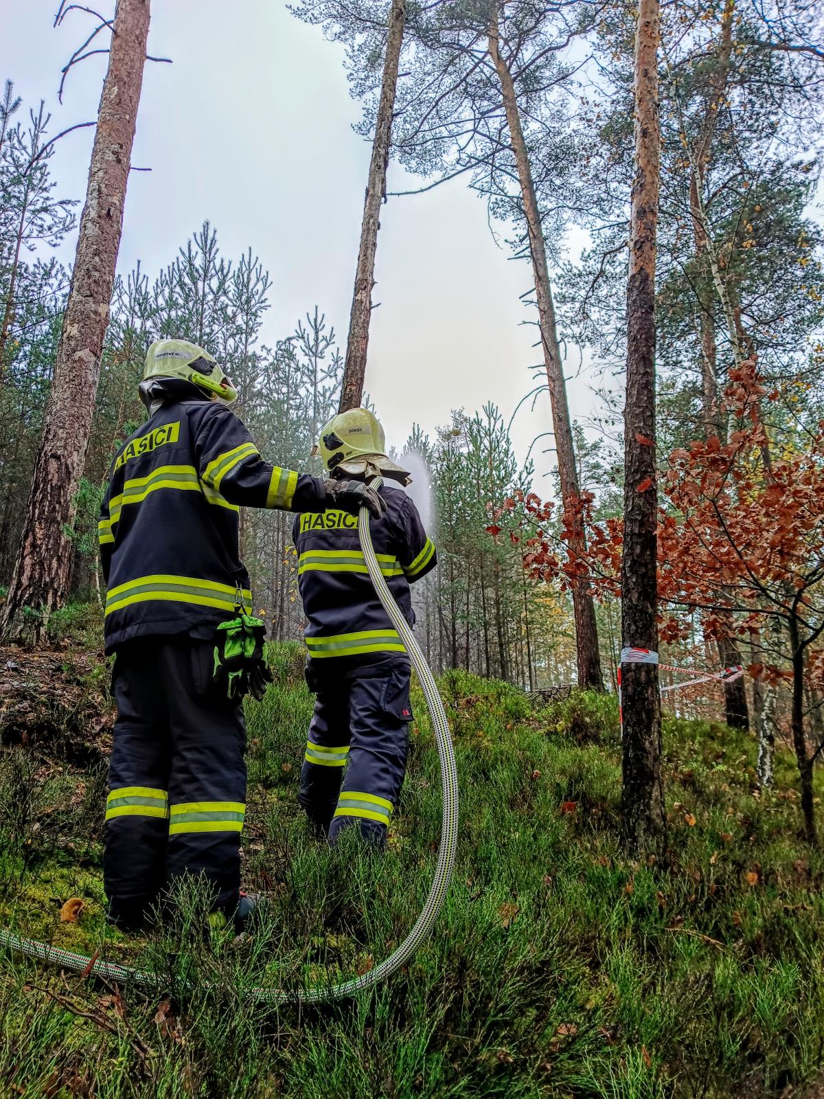 Cvičilo se v lesním terénu