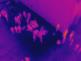 DJI_0036