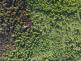 DJI_20250629175843_0008_W