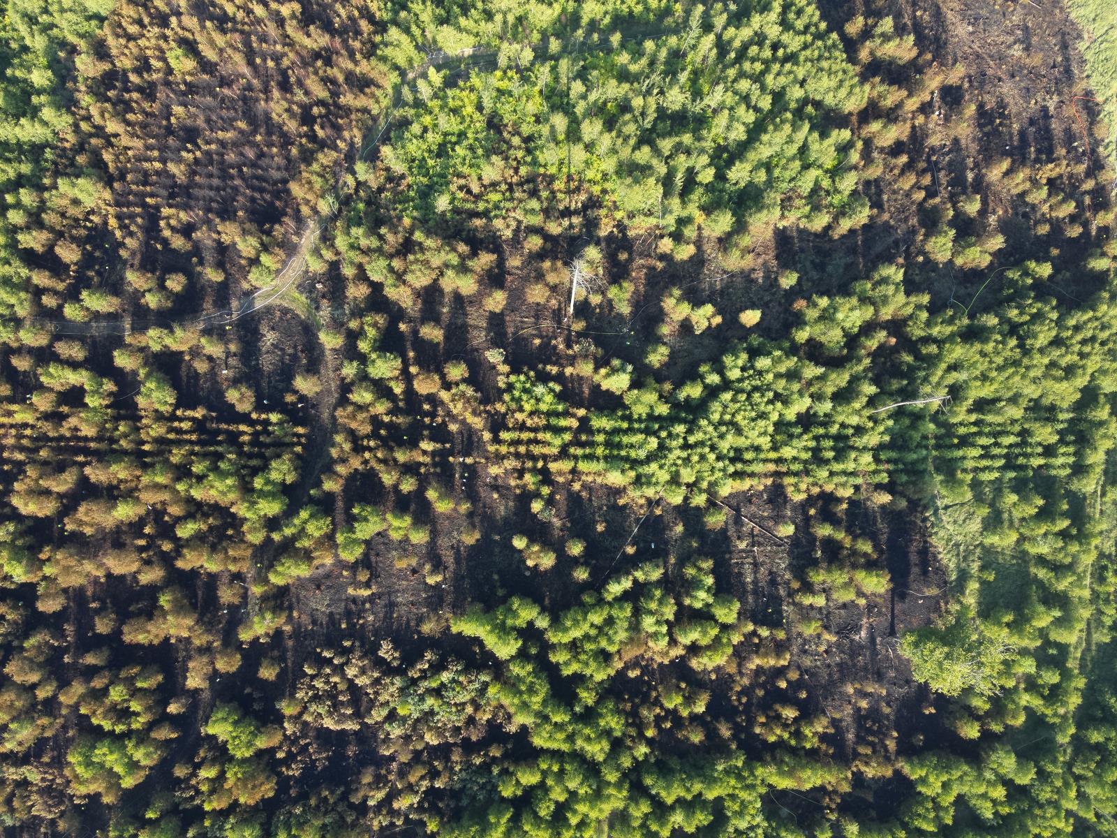 DJI_20250629180513_0047_W.JPG