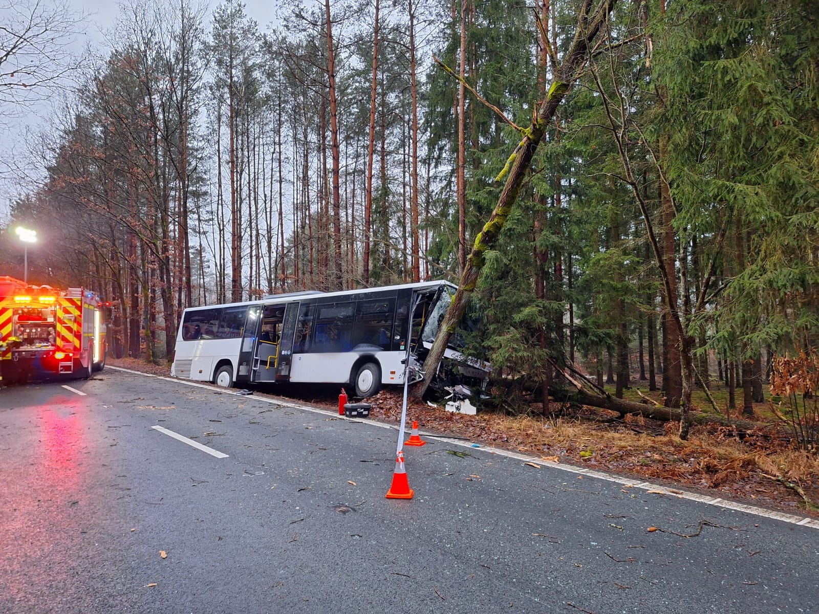  Borohrádek (2).jpeg