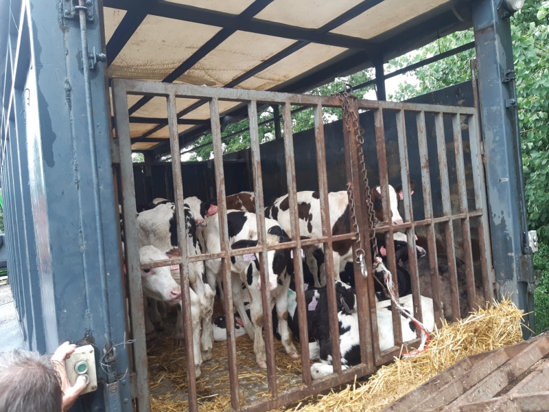 DN Dolní Přím, Probluz (4).jpeg