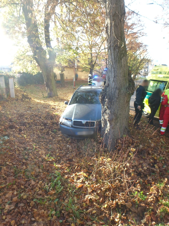 DN Skřivany (2).JPG