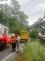DN kamion3stromyBruntal (2)