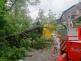 DN kamion3stromyBruntal (3)
