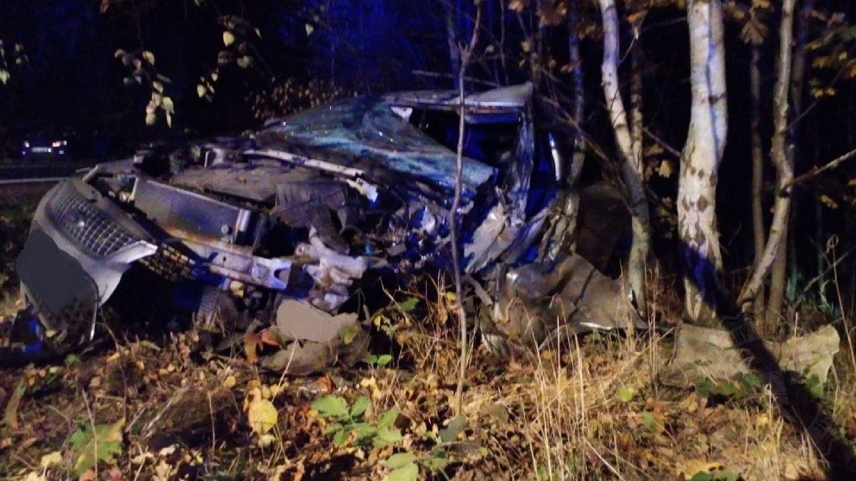 DN mezi Slatiňany a Nasavrky1 31.10.2021.jpg