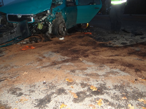 DN5aut5zranenychStaraVesnadOnd (4).JPG