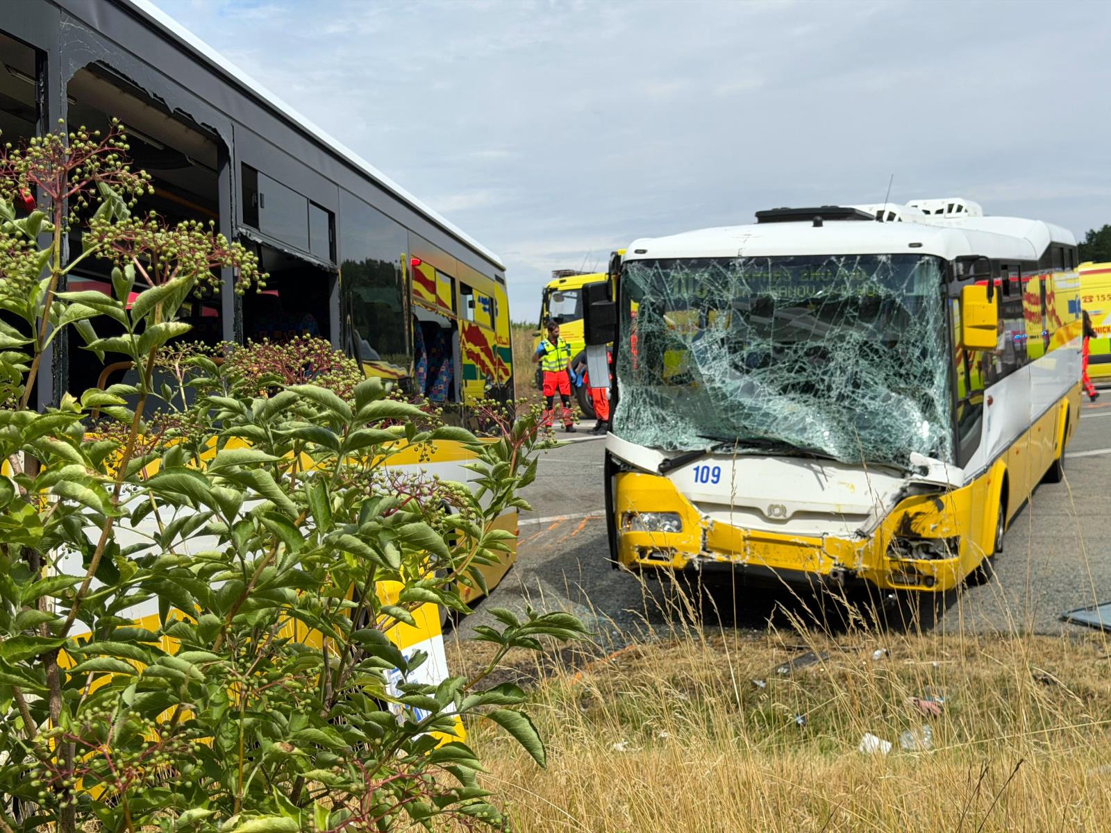 DN_2x_BUS_2.jpeg