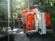 DN_navesu_se_drevem_Odry_(NJ)_11