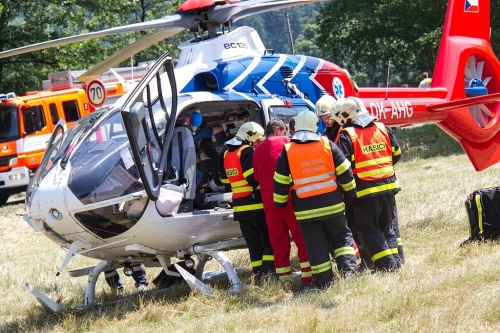 DNbusOdry (NJ) (3).jpg