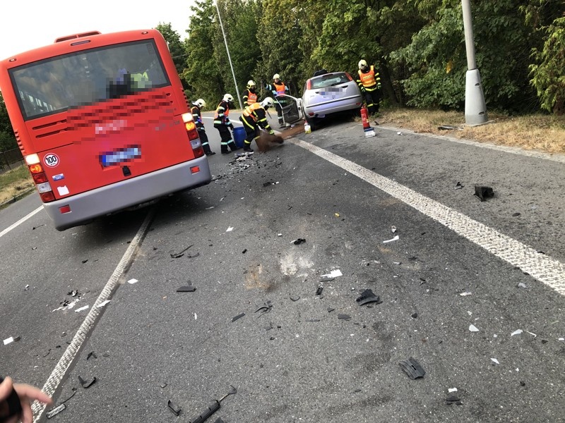 DNbusfordHlucin (2).jpg