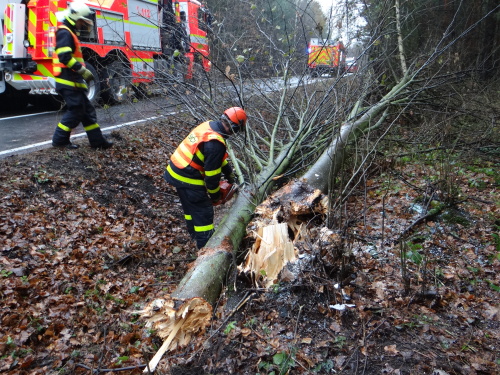 DNbusvyprosteni Pist (15).JPG