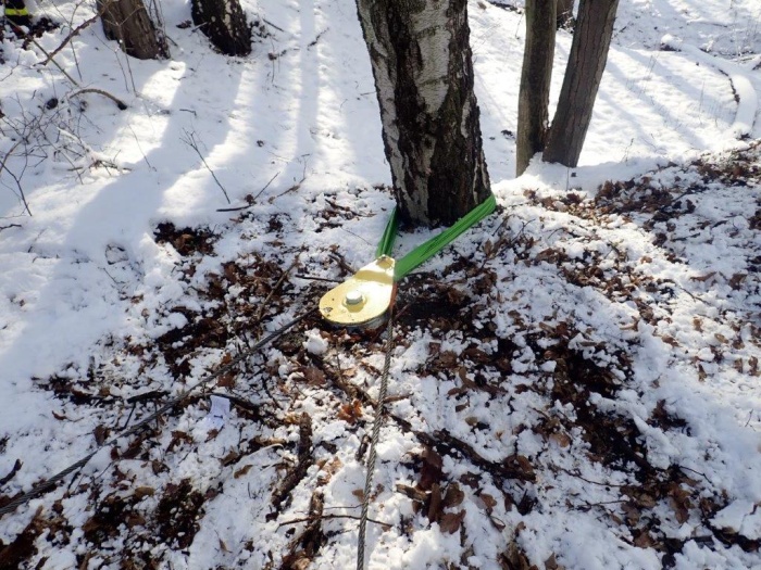 DNbusvyprosteniHavirov (11).jpg