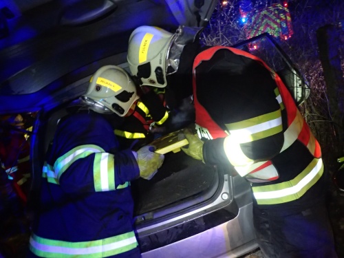 DNstromvyprostovaniFulnek (2).JPG