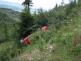 DNvyprosteniMondeoVysniLhoty (1 FM)