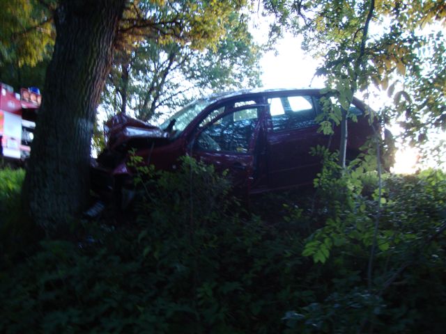 DSC07411.JPG